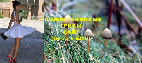 MDMA Premium VHQ Дмитриев
