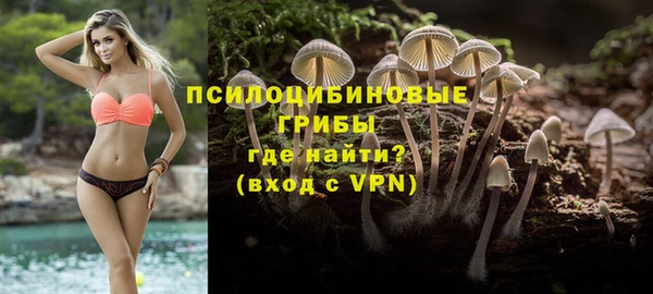 mdpv Дмитровск