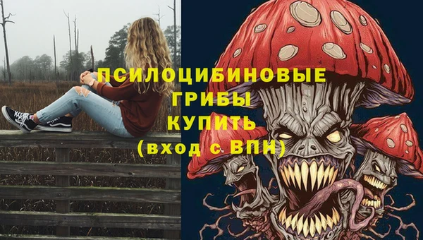 mdpv Дмитровск