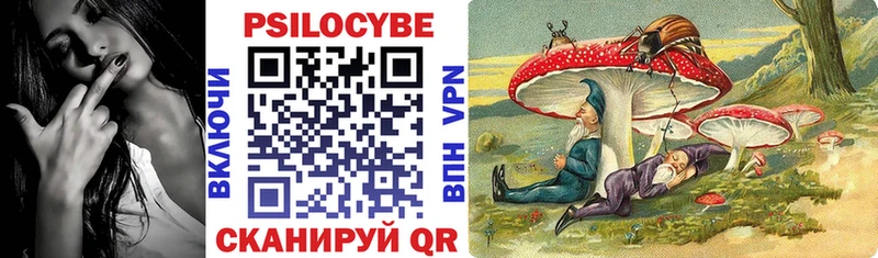 Псилоцибиновые грибы Psilocybe  хочу   Жиздра 